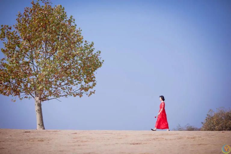 一个人最聪明的活法：凡事慢半拍