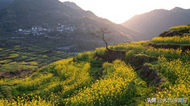 不管你承不承认，年过60，基本都有这6个状况，要学会调整