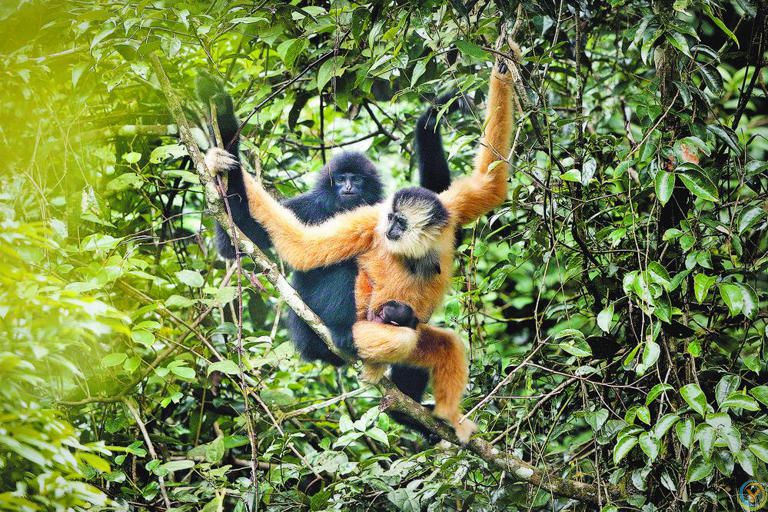 吾心安处是“靖西”