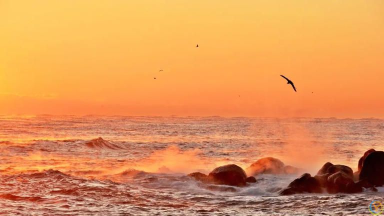 人生啊（精辟）