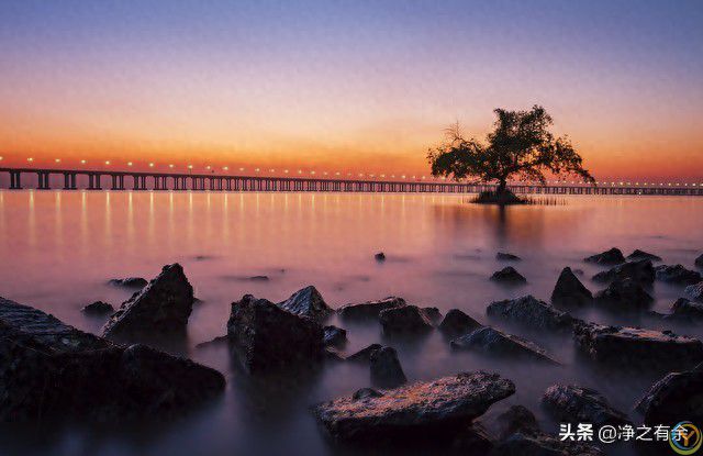 一个人是否孤独，一看便知：孤独的人，一般都有这4个特征