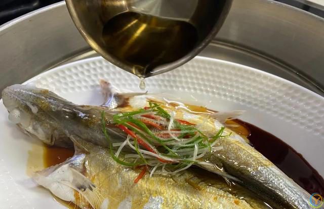 清蒸鱼到底蒸多久？很多人不懂，难怪鱼肉不鲜了，教你正确做法
