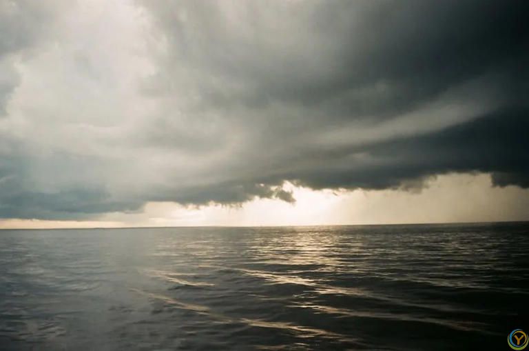 世间一切，不过因果