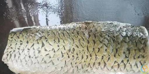 草鱼片蒸一蒸，***猪肉香，嫩滑无腥味好吃吗？