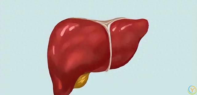 肝不好不能吃糯米？医生告诫：不想加速肝衰竭，4样食物谨慎食用