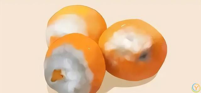 肝不好不能吃糯米？医生告诫：不想加速肝衰竭，4样食物谨慎食用