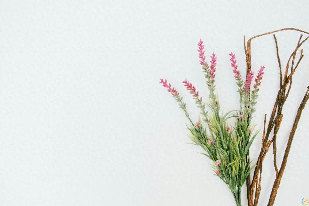 两性交往：女人最讨厌被男人触摸的5个地方，希望男人能懂