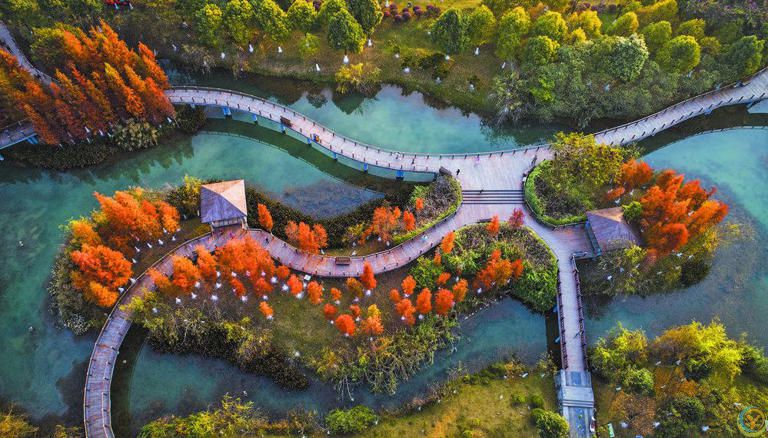 吾心安处是“靖西”