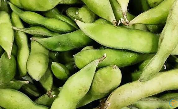 毛豆煮一煮，血管清爽又燃脂，3步做出饭店味！