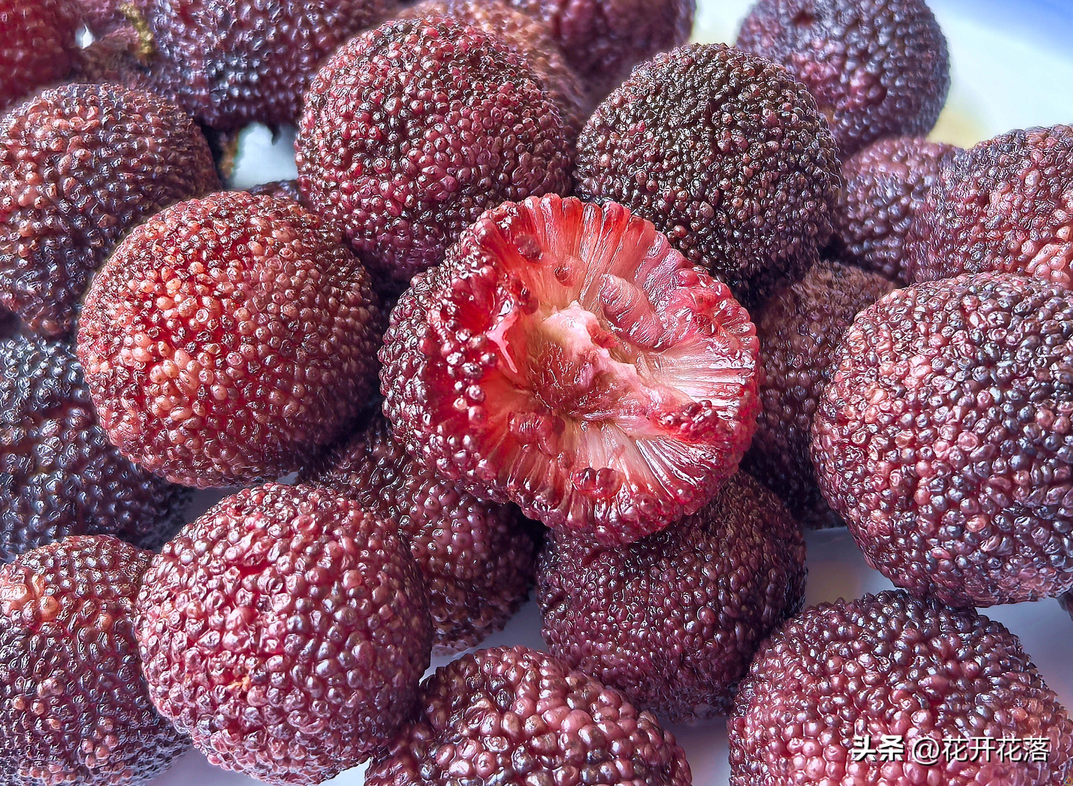 杨梅用盐和清水洗，等于吃虫卵 ，教你正确做法，虫卵脏东西跑光光