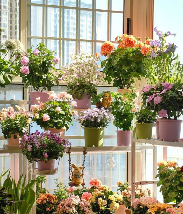 室内养花，有“7忌”，犯1个也活不久，看你中了没