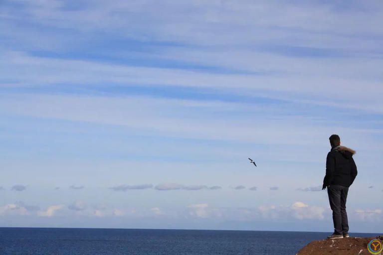 python进阶(20) 正则表达式的超详细使用[通俗易懂]