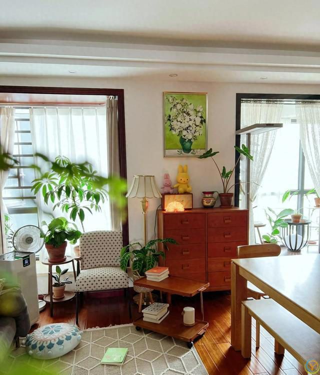 室内养花，有&ldquo;7忌&rdquo;，犯1个也活不久，看你中了没