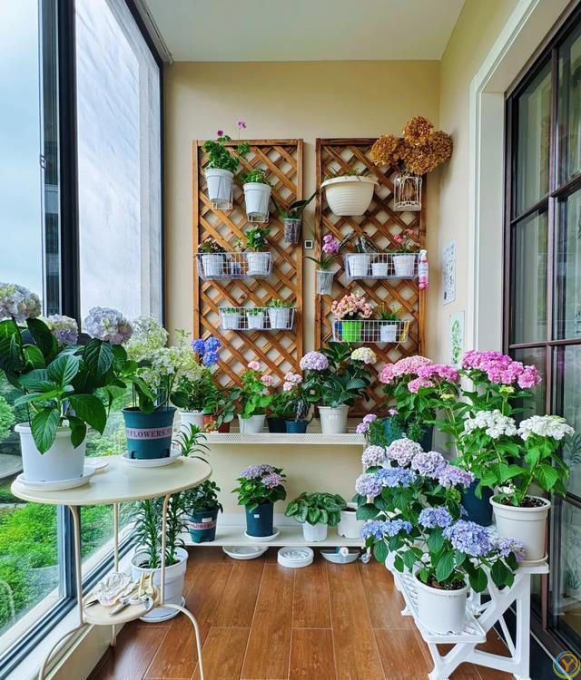 室内养花，有“7忌”，犯1个也活不久，看你中了没