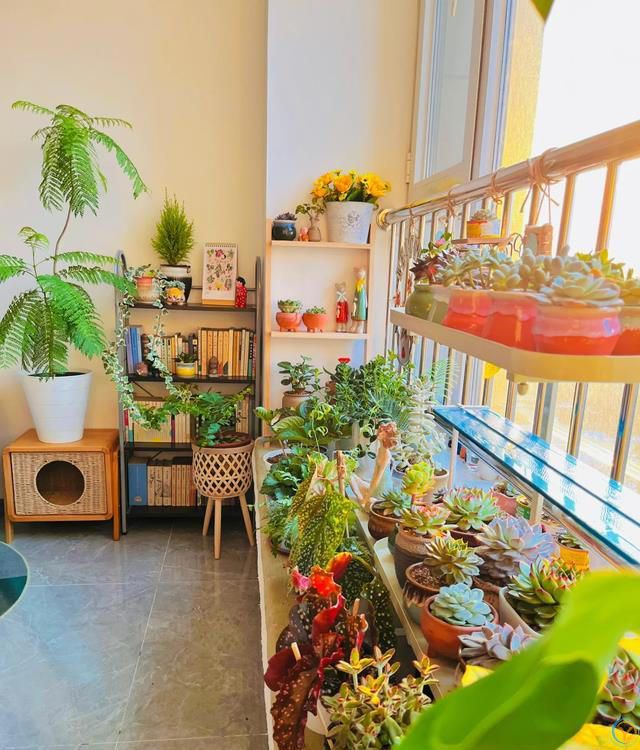 室内养花，有“7忌”，犯1个也活不久，看你中了没