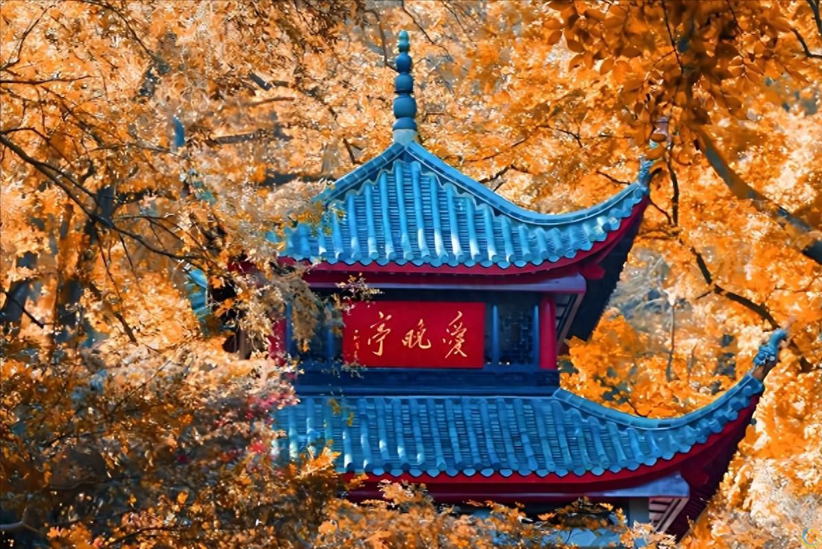 最美的10处长沙美景！