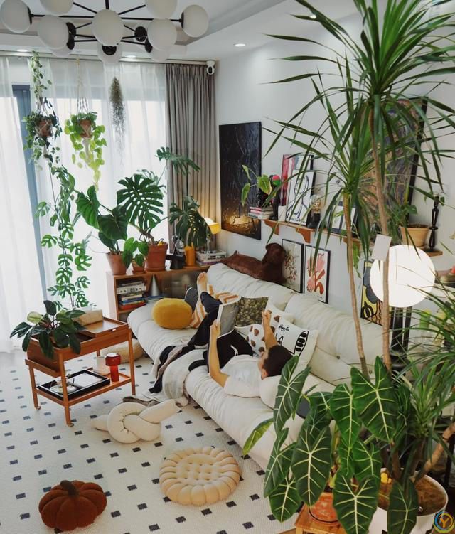 室内养花，有“7忌”，犯1个也活不久，看你中了没