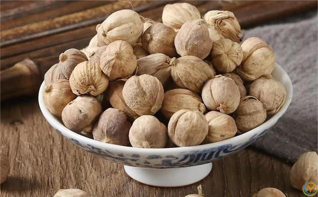 牛肉炖不烂，不是时间不够长，这几种香料缺一不可，出锅软烂鲜香