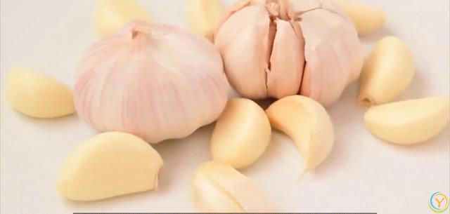 世界公认的十大长寿食品