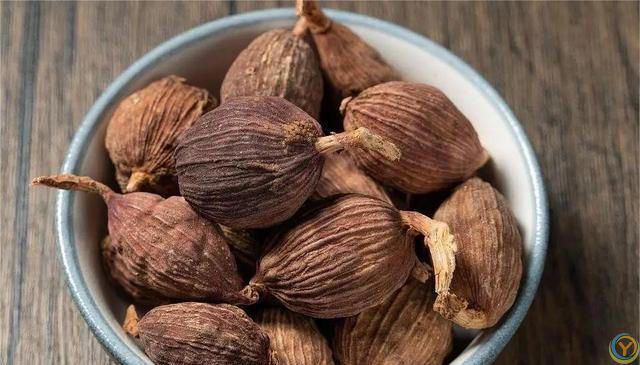 牛肉炖不烂，不是时间不够长，这几种香料缺一不可，出锅软烂鲜香