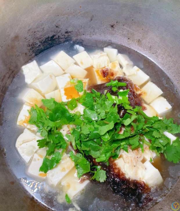 豆腐鲜汤，老奶奶教我的做法，营养丰富，味道太香了