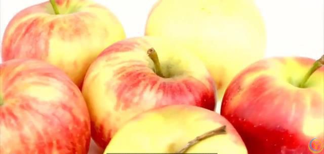 世界公认的十大长寿食品