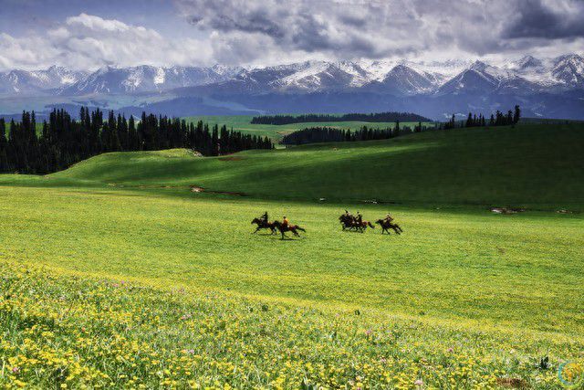 哪个省的旅游资源丰富？经过评比，这10个省上榜，有你的家乡吗？