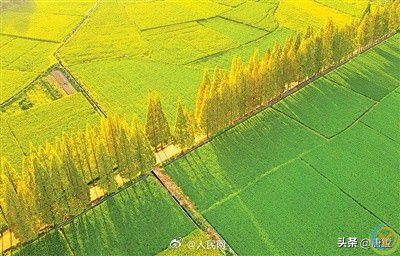 霸屏热搜！2024&ldquo;最美农村路&rdquo;凭什么刷屏？一条路带火一座城