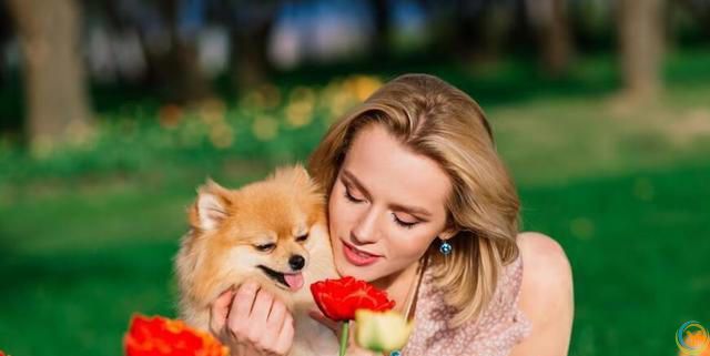 如何选择适合自己的狗狗