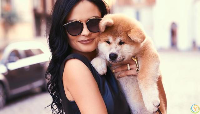 如何选择适合自己的狗狗