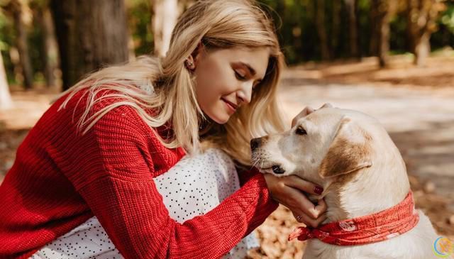 如何选择适合自己的狗狗