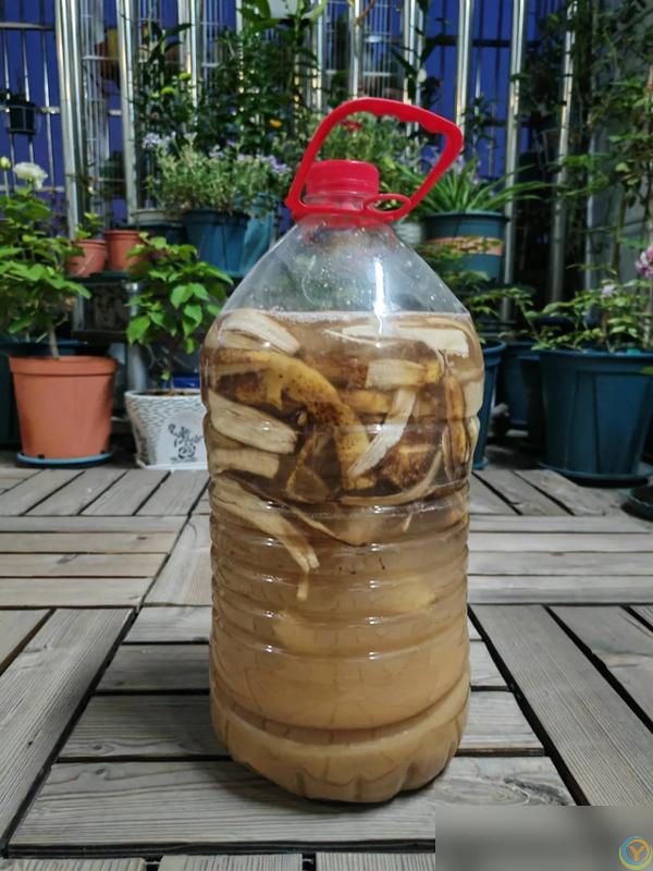 10种“小垃圾”当“免费松土剂”，花盆埋一把软似发糕！