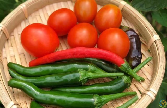 夏天，苦瓜、西瓜靠边站，多吃它，祛湿又防中暑，精神饱满一整天