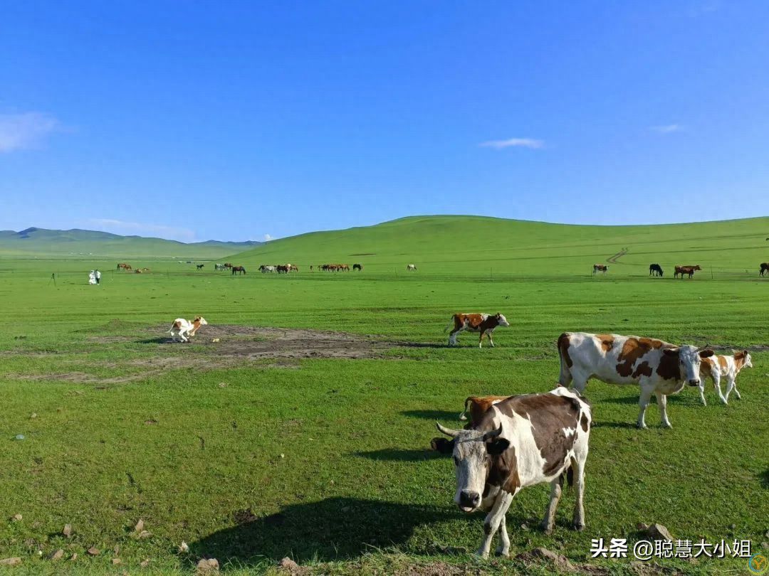 均温20℃，适合6-8月夏季避暑的6个最佳旅行地，就挑一个去发呆吧