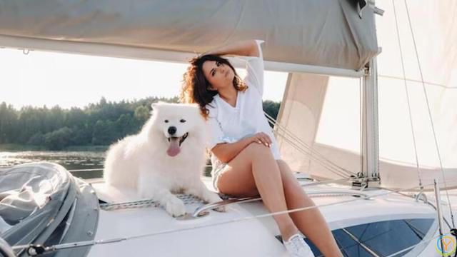 如何选择适合自己的狗狗