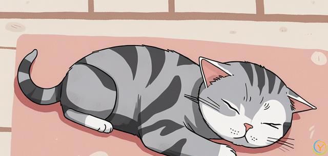 猫为什么一天能睡那么久？并不是懒，而是有这些原因