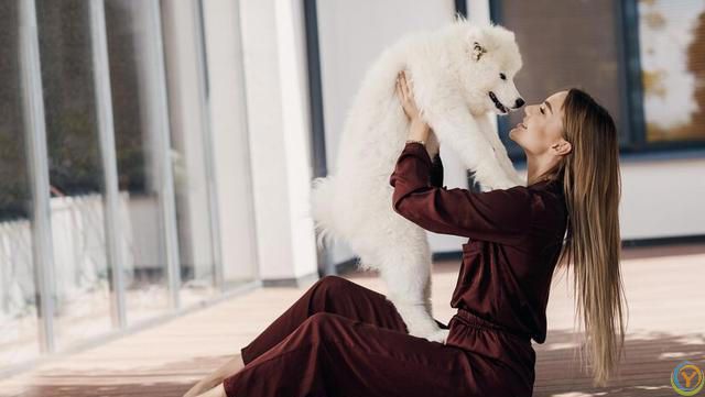 如何选择适合自己的狗狗