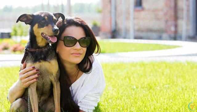 如何选择适合自己的狗狗