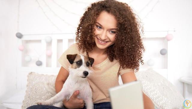 如何选择适合自己的狗狗