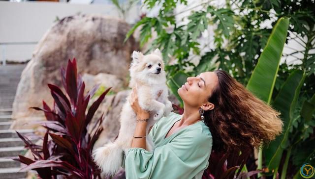 如何选择适合自己的狗狗