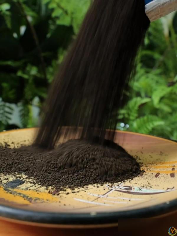 10种“小垃圾”当“免费松土剂”，花盆埋一把软似发糕！