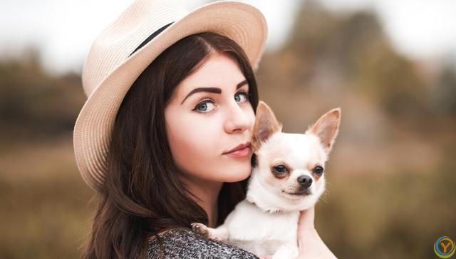 如何选择适合自己的狗狗