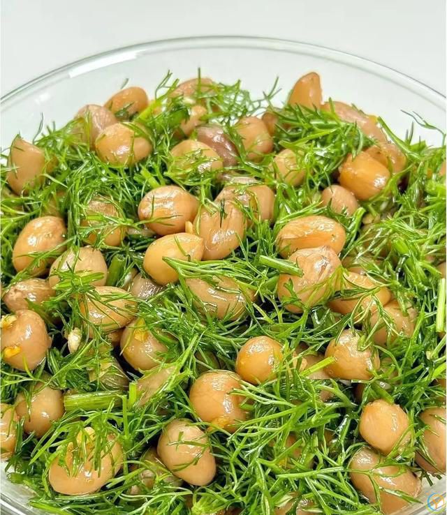 “湿气”最怕这种菜，夏天使劲吃！祛湿理气，营养好吃不上火！