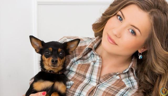 如何选择适合自己的狗狗