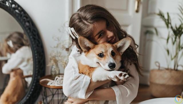 如何选择适合自己的狗狗