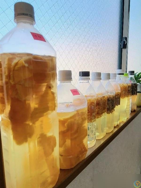 10种“小垃圾”当“免费松土剂”，花盆埋一把软似发糕！