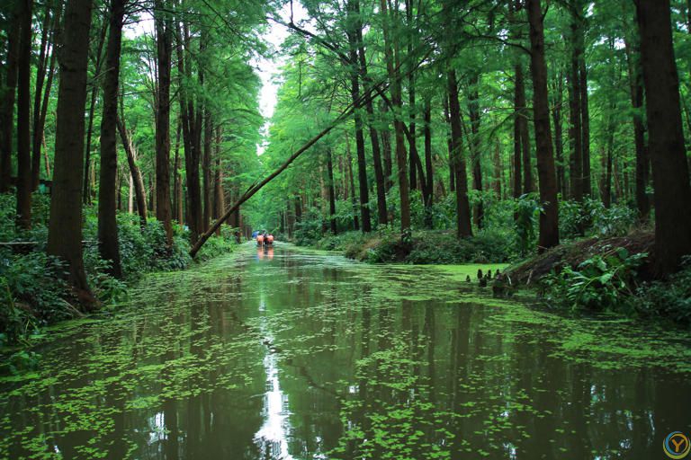 泰州景点排行榜，江苏泰州必去的10个地方，全部去过才算真正玩转泰州~
