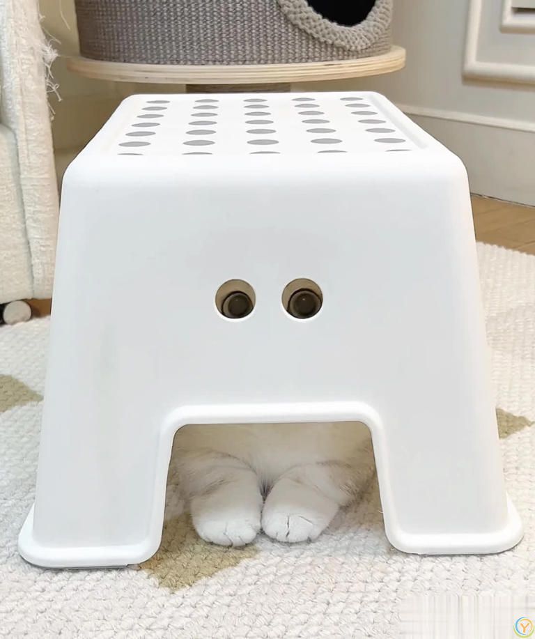 猫咪“喜欢”上床睡的8个原因，不是它怕冷，真正原因你知道吗