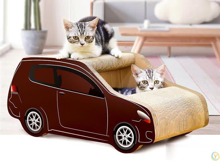 喵星人爱不释手的玩具盘点，元老级猫奴推荐，我家猫咪都玩不腻！