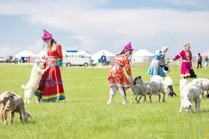 呼伦贝尔草原旅游，有哪些值得去的景点，本地人推荐！